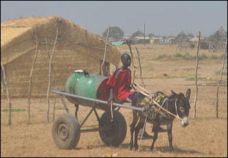 20120515-donkey Sudan_Envoy_-_Abyei.jpg